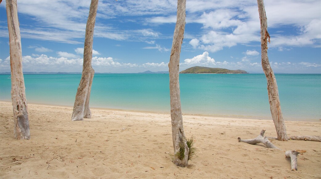 Great Keppel Island que inclui cenas tropicais, uma praia e paisagens litorĂąneas
