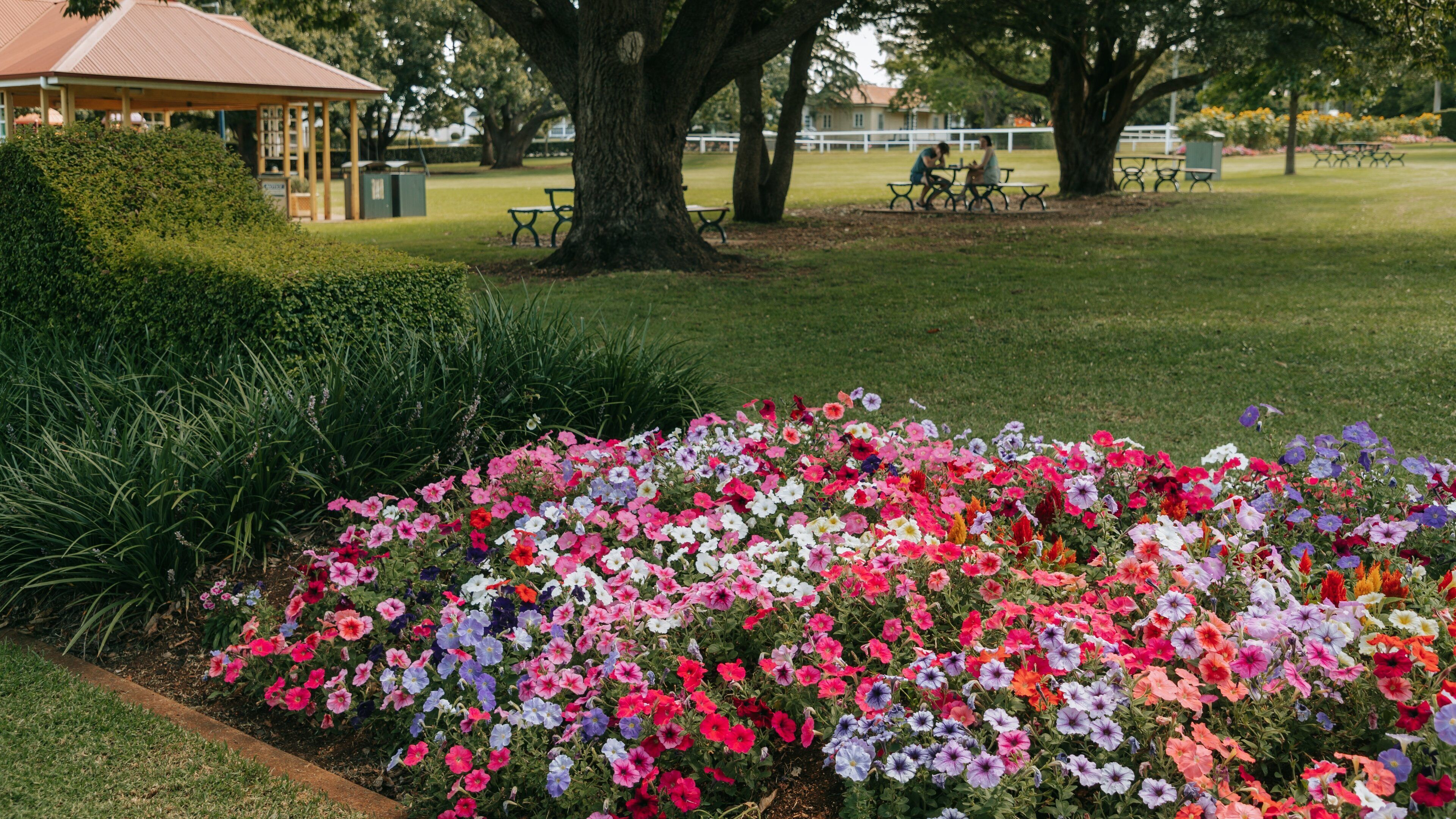 Laurel Bank Park which includes a garden and wildflowers