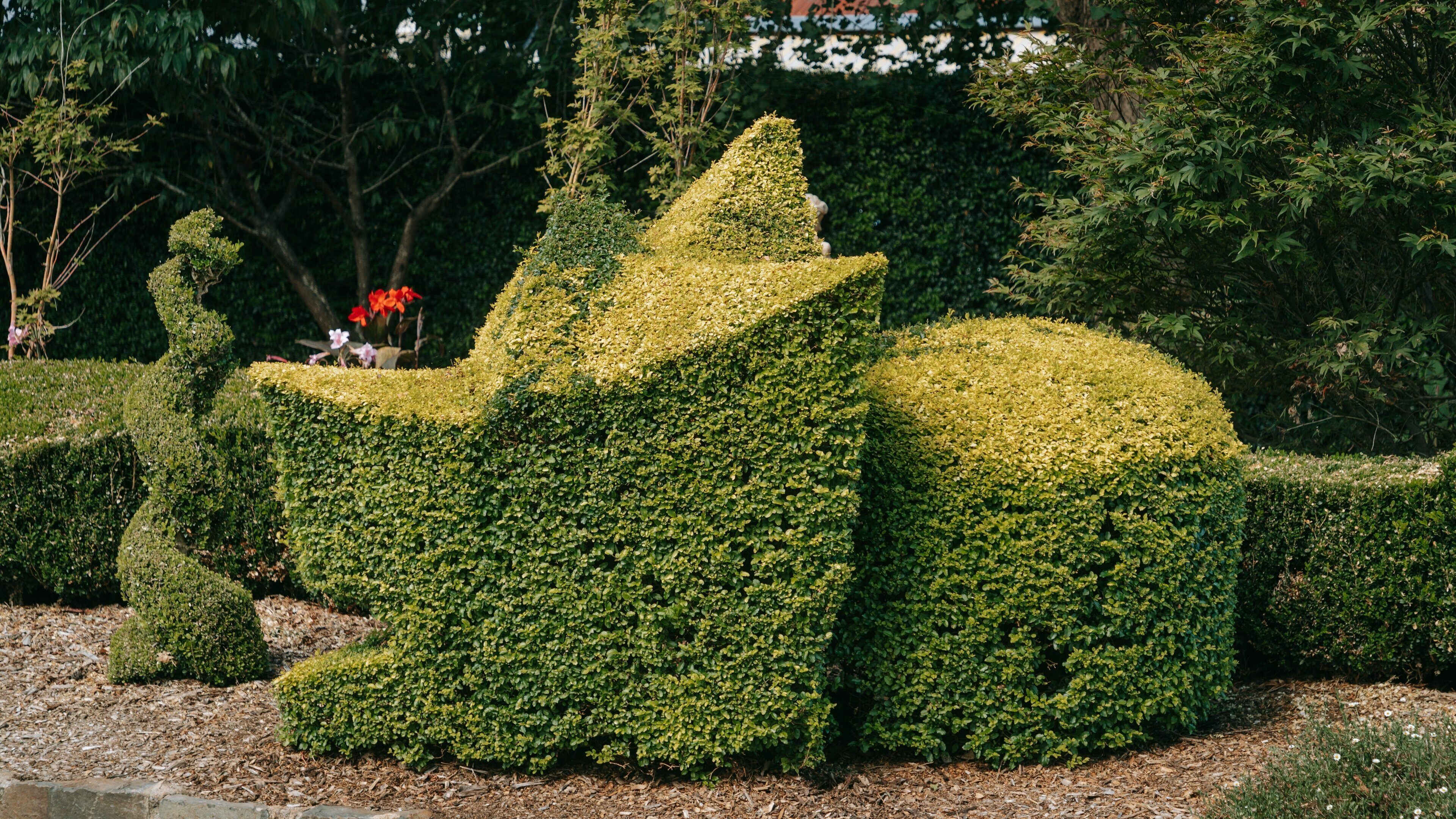 Laurel Bank Park which includes a park