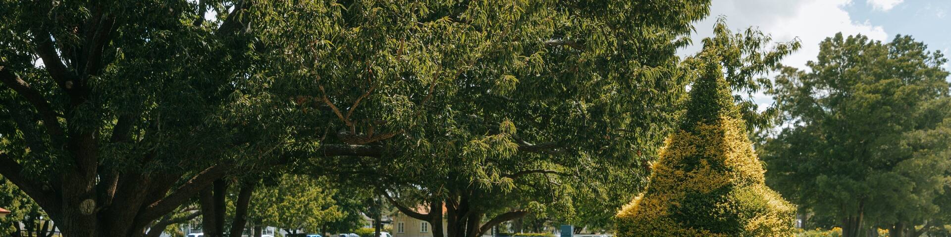 Laurel Bank Park showing flowers and a garden