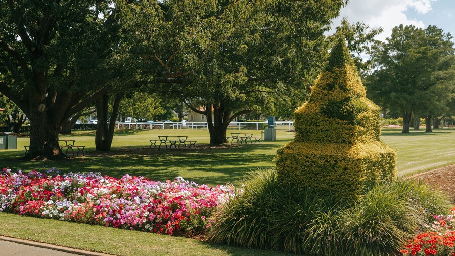Laurel Bank Park showing flowers and a garden