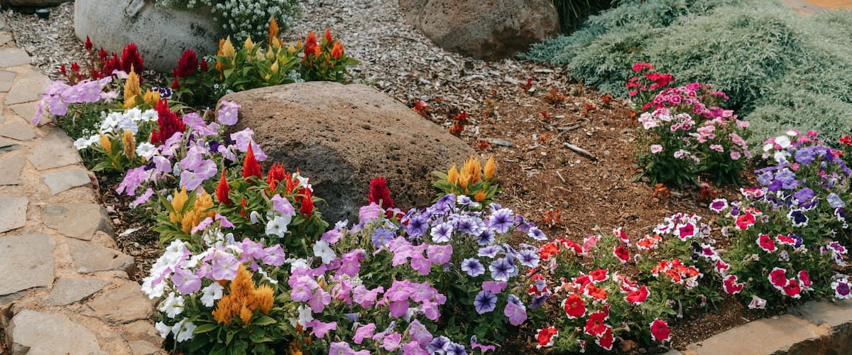 Laurel Bank Park showing a park and wildflowers