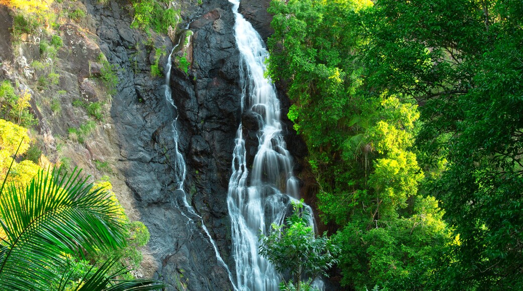 Beautiful Kondalilla Waterfall.