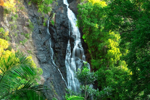 Beautiful Kondalilla Waterfall.
