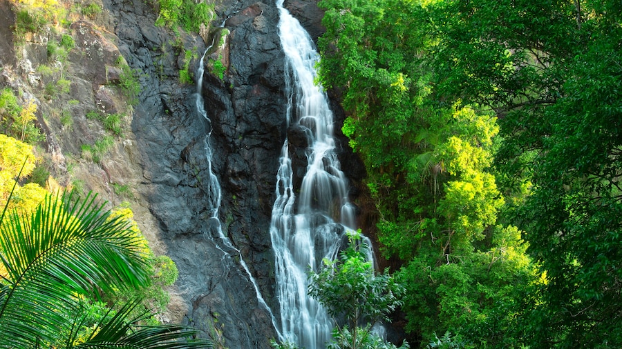 Beautiful Kondalilla Waterfall.