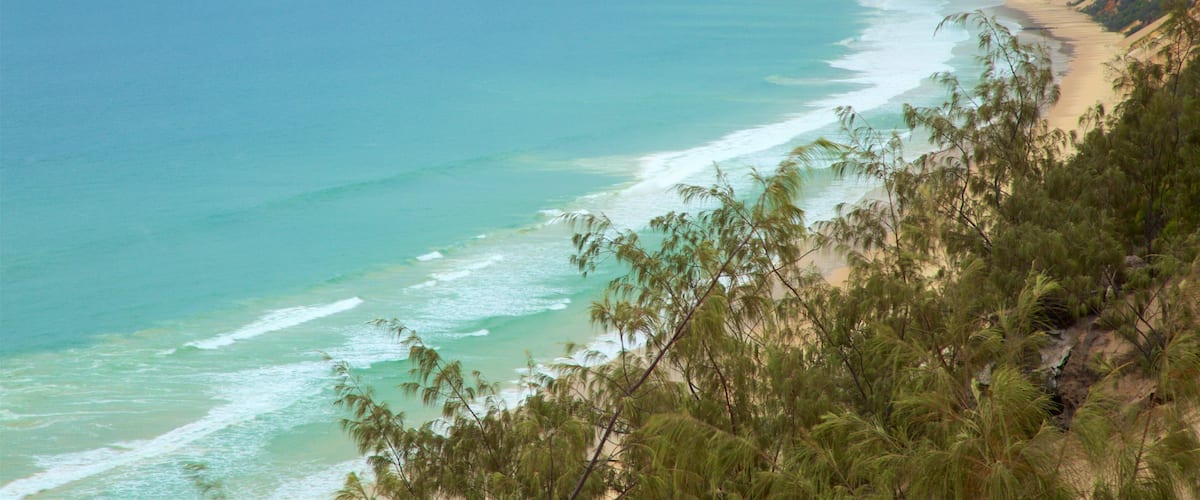 Sunshine Coast mostrando paisagens litorâneas, surfe e uma praia de areia