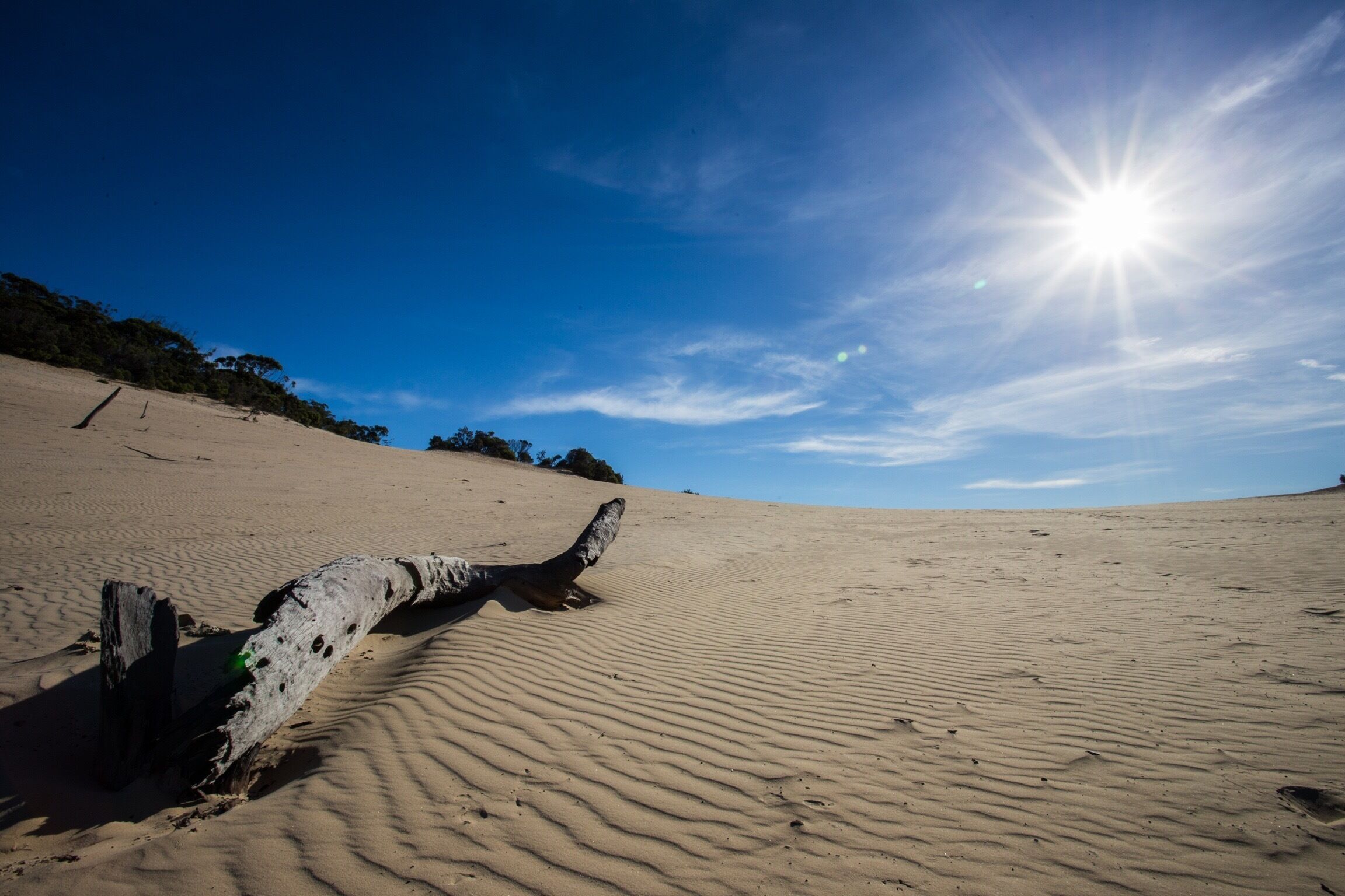I took a #roadtrip to the Carlo Sandblow located at Rainbow Beach. It's a short walk through a rainforest habitat (with some stairs) before opening to an expansive sandblow that sits above the rainbow sands. The views are breathtaking!
#nationalpark #queensland #australia 
#weekendgetaway