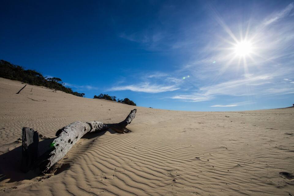 A sandy beach with a large driftwood log and a clear blue sky with the sun shining.