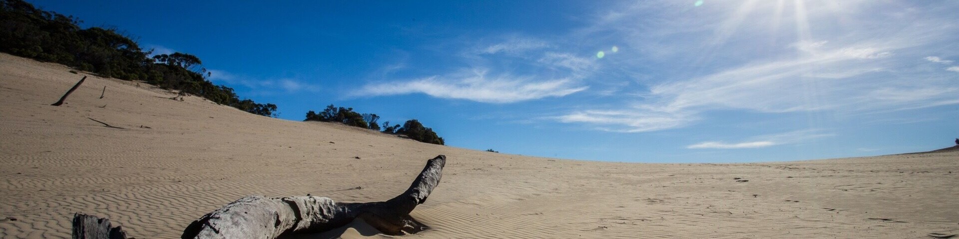 I took a #roadtrip to the Carlo Sandblow located at Rainbow Beach. It's a short walk through a rainforest habitat (with some stairs) before opening to an expansive sandblow that sits above the rainbow sands. The views are breathtaking!
#nationalpark #queensland #australia
#weekendgetaway