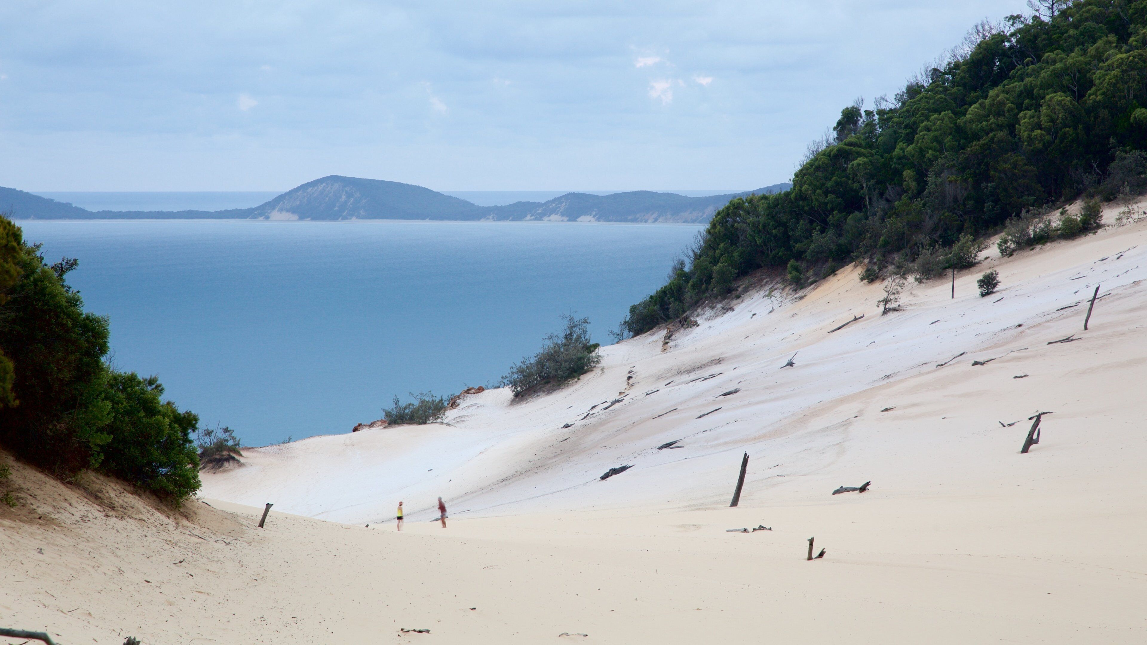 A coastal landscape with a sandy beach, a forested hill, and a calm sea.