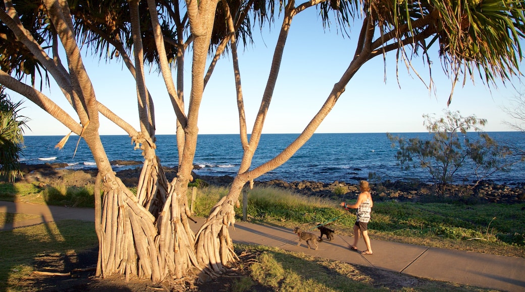 Barolin Rocks showing general coastal views as well as an individual femail