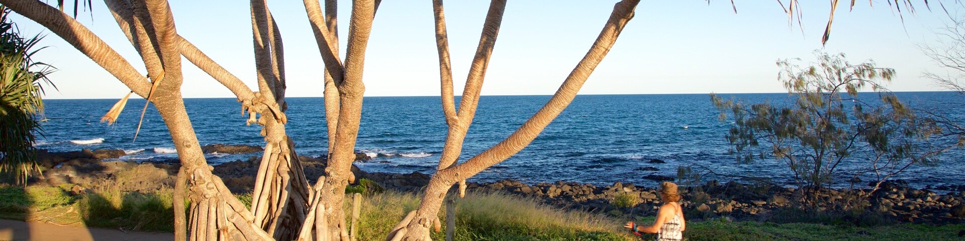 Barolin Rocks showing general coastal views as well as an individual femail
