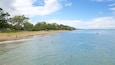 A beach with clear water, people swimming and surfing, and a sandy shore with trees and beach huts.