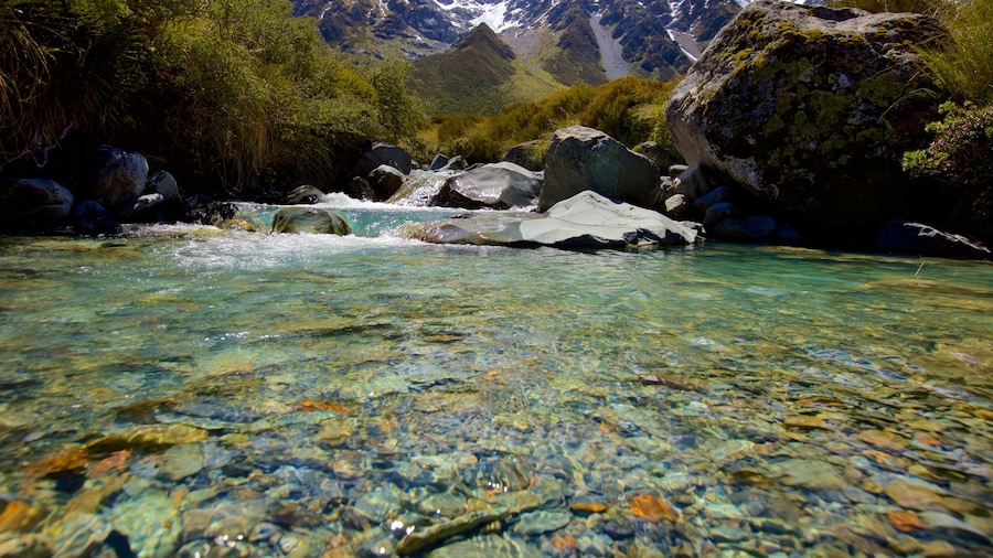 Parque Nacional Mount Cook que incluye un río o arroyo