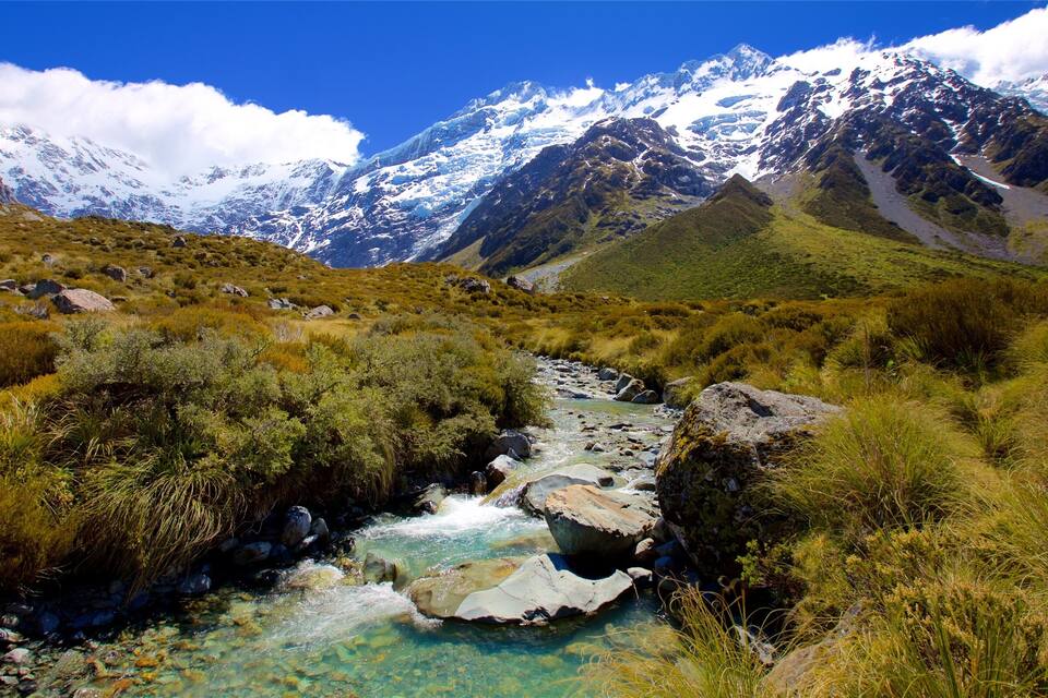A clear mountain stream surrounded by lush greenery and snow-capped peaks in the background.