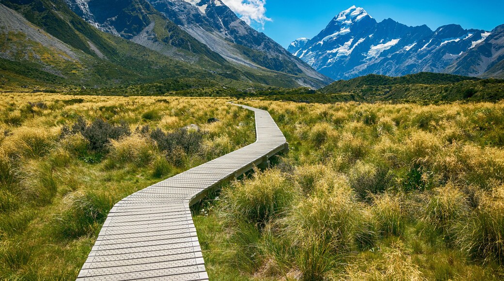 Mount cook from the Hooker Valley, Mt cook is New Zealand highest Mountain