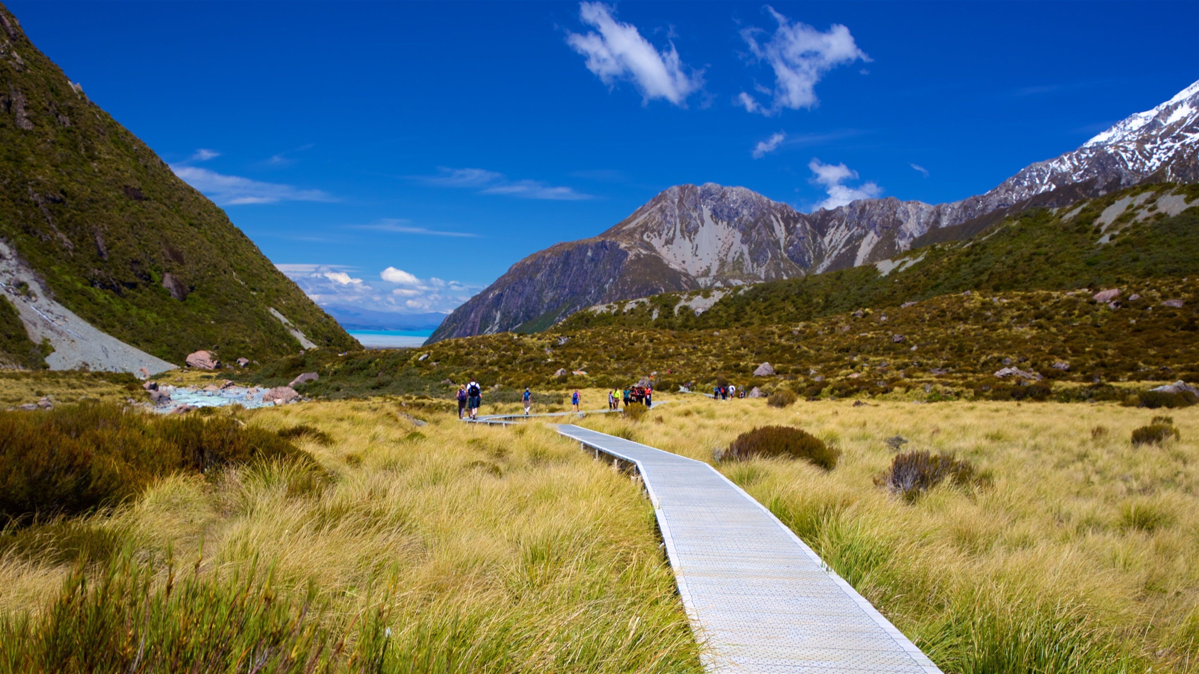 A pathway through a grassy field with mountains in the background.