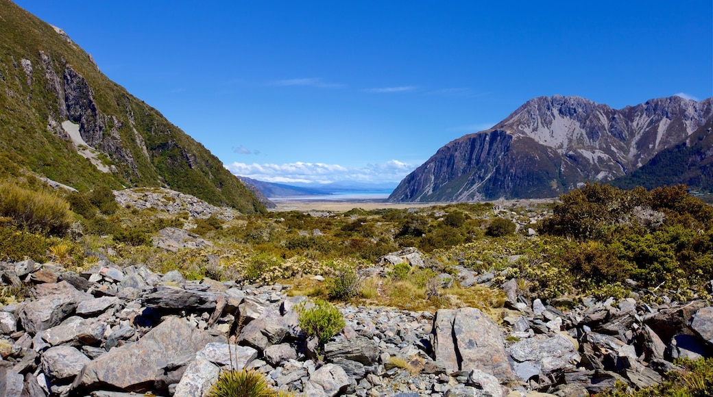 Parque Nacional Mount Cook ofreciendo escenas tranquilas