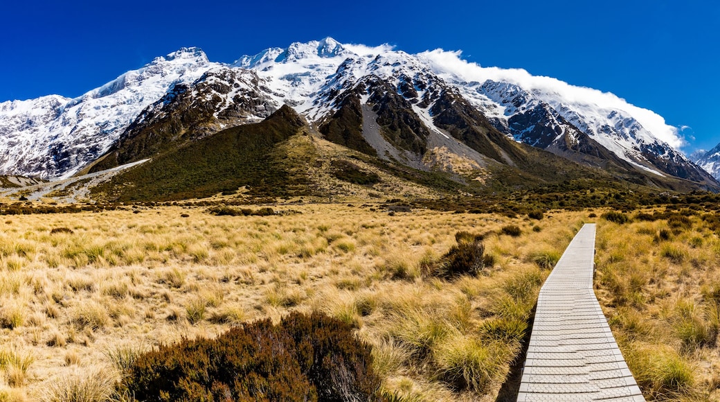 Hooker Valley Track in Aoraki National Park, New Zealand, South Island
