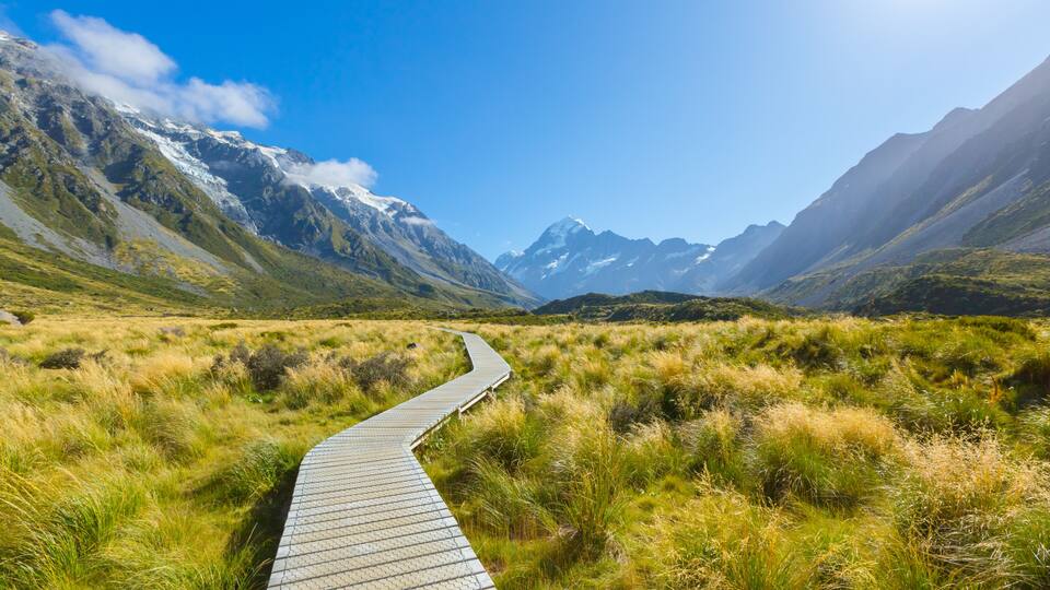 A winding wooden boardwalk through a grassy field with mountains in the background.