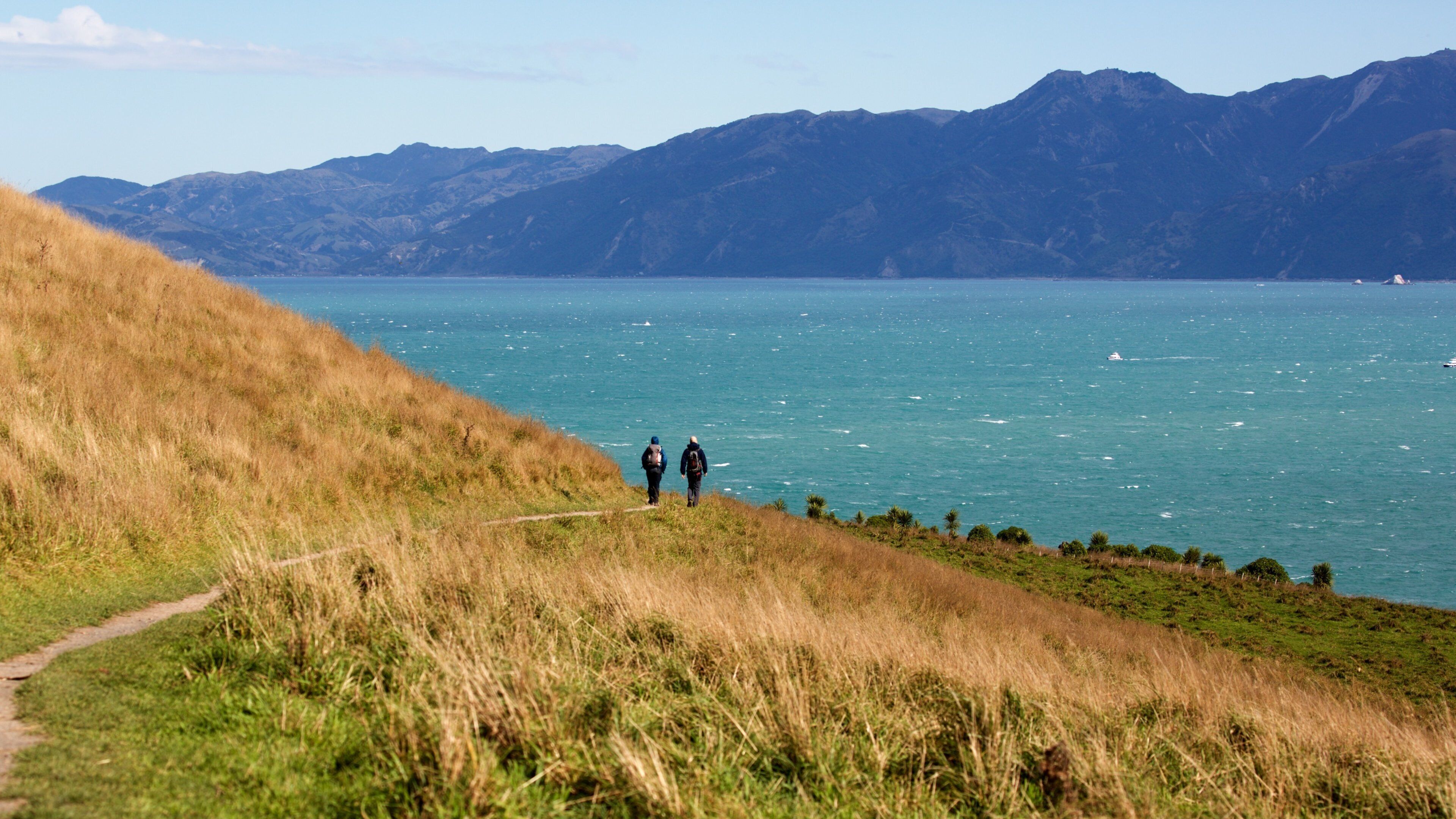 Peninsula Walkway showing a lake or waterhole, landscape views and hiking or walking