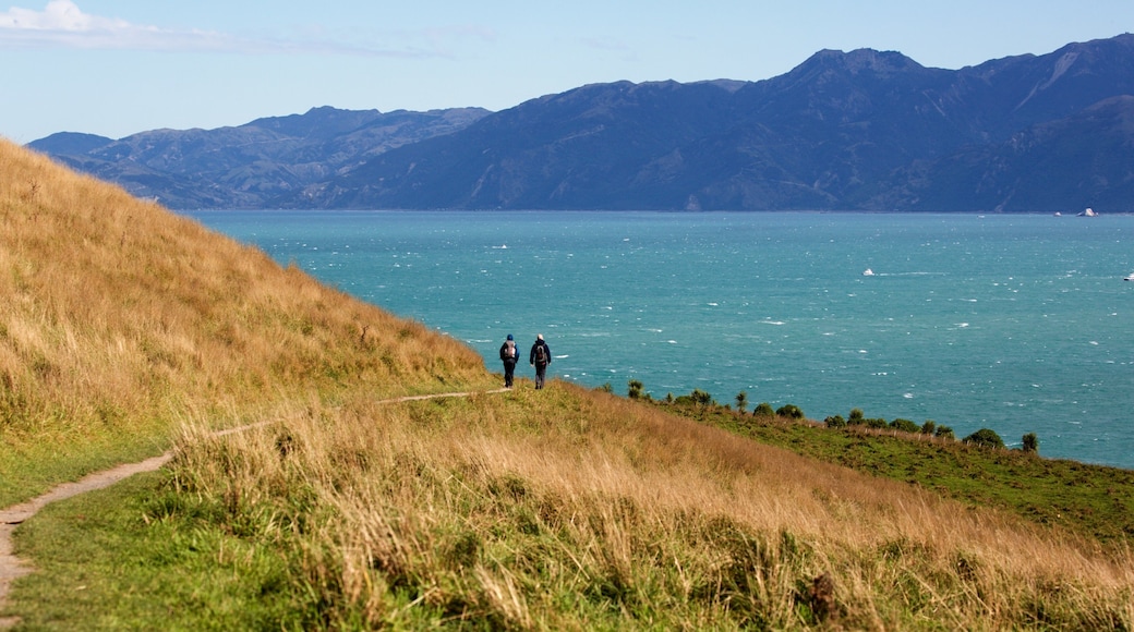 Peninsula Walkway showing a lake or waterhole, landscape views and hiking or walking