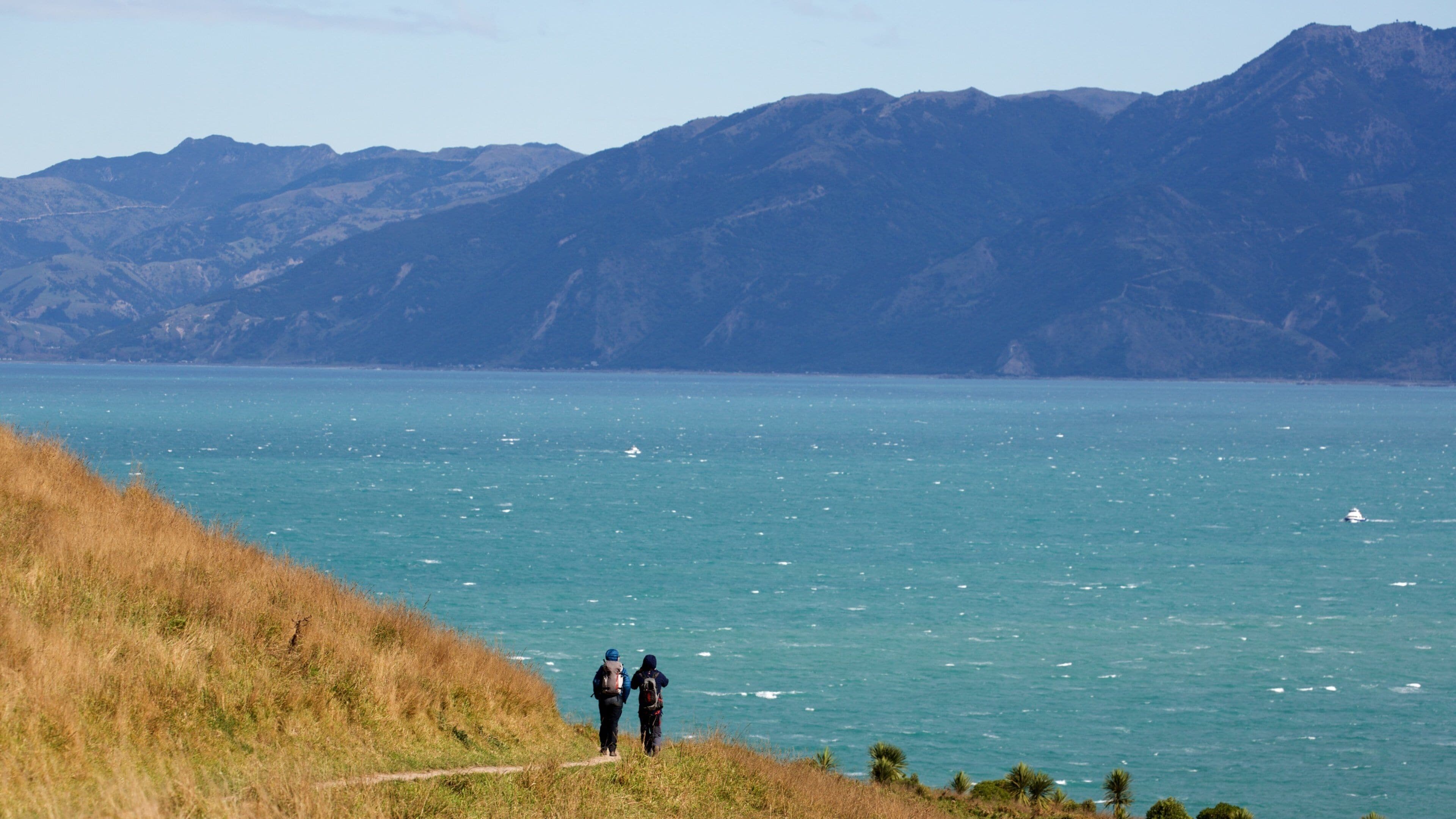 A coastal landscape with a clear view of the ocean and distant mountains.