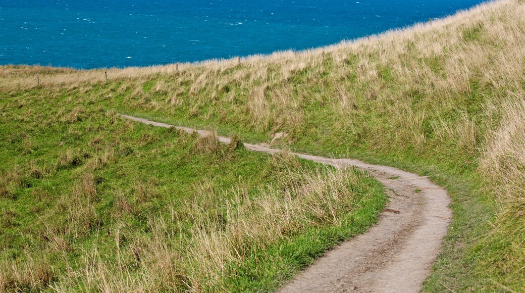 Peninsula Walkway which includes general coastal views