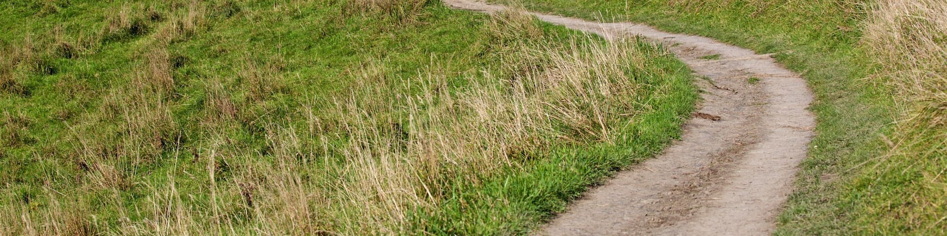 Peninsula Walkway which includes general coastal views