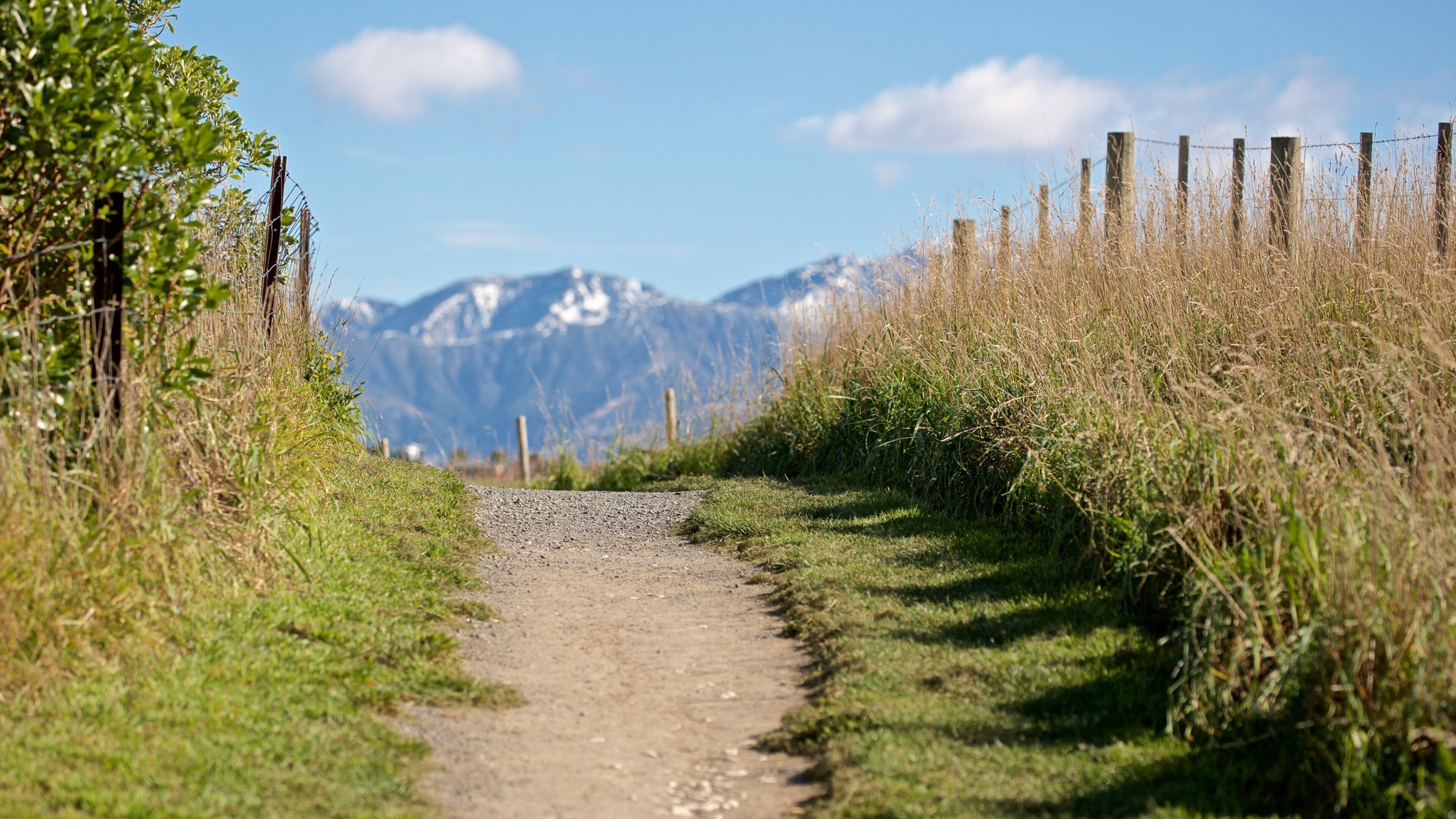 Peninsula Walkway which includes tranquil scenes