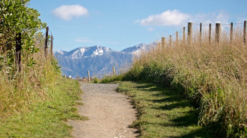 Peninsula Walkway which includes tranquil scenes