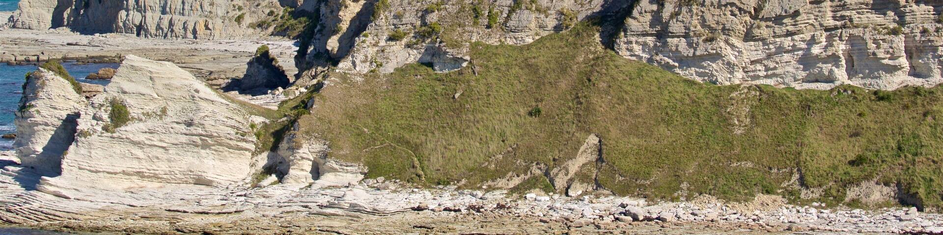 Peninsula Walkway featuring general coastal views and rugged coastline