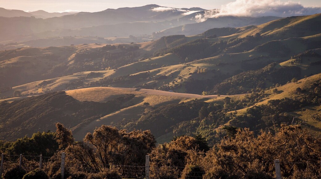 The Summit Road around the Banks Peninsula is so scenic and the views are spectacular, even if the roads are a bit gnarly and not for the faint of heart