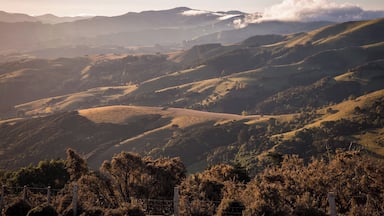 The Summit Road around the Banks Peninsula is so scenic and the views are spectacular, even if the roads are a bit gnarly and not for the faint of heart