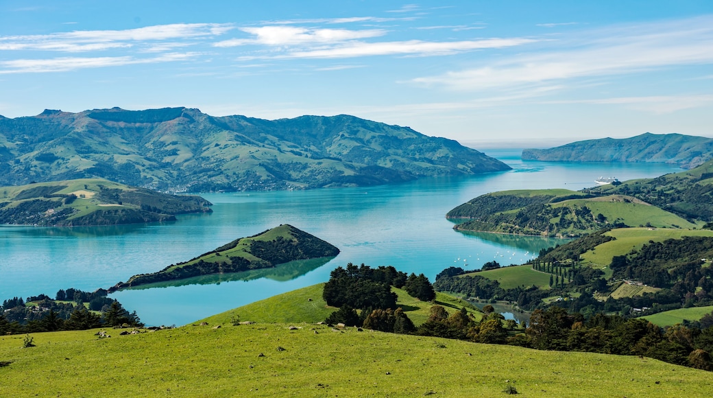 Overlook of scenic Akaroa harbour on the Banks Peninsula, Canterbury, South Island, New Zealand