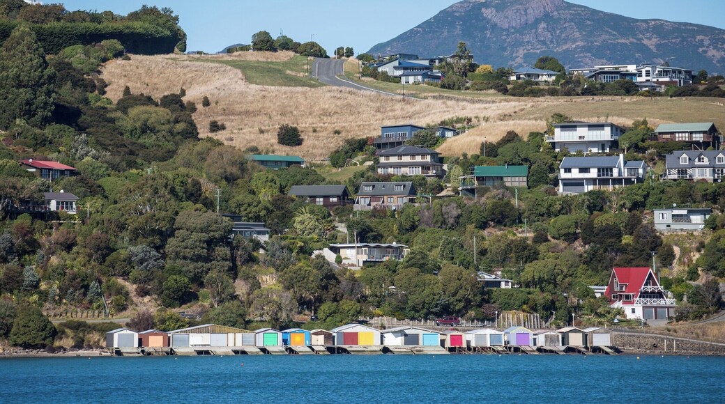 Road tripping along the harbors of the Banks Peninsula are a must do!
