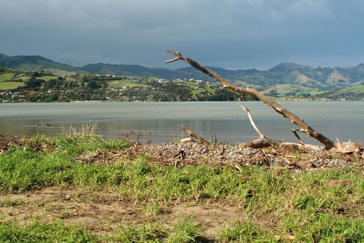 A short drive from Akaroa the sun came through the clouds. The beautiful banks peninsula