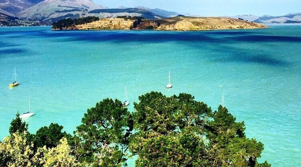 The amazing Banks Peninsula! The road from Lyttelton to Akaroa is a scenic road with beautiful landscape!