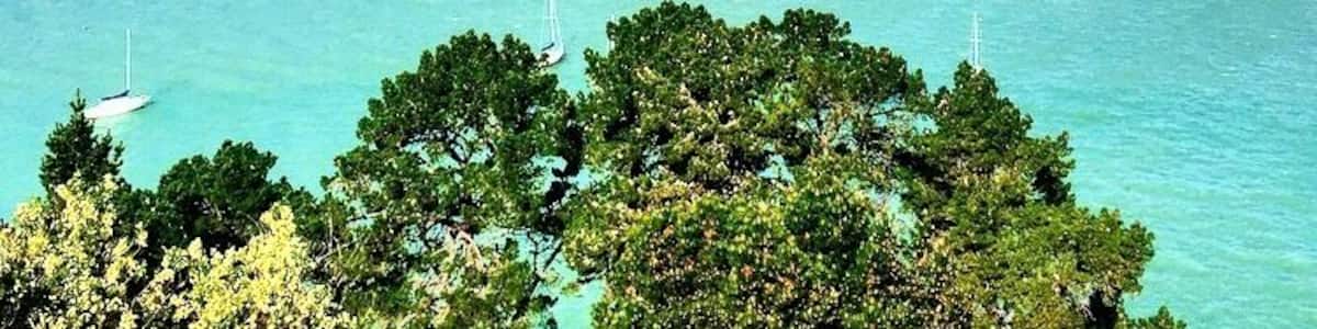 The amazing Banks Peninsula! The road from Lyttelton to Akaroa is a scenic road with beautiful landscape!