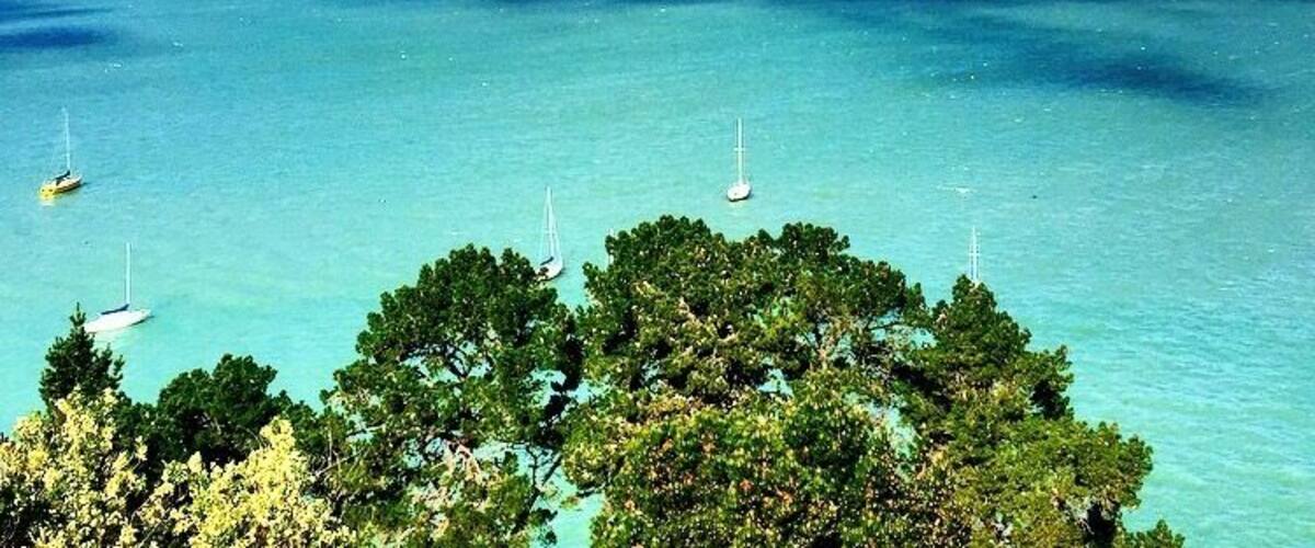 The amazing Banks Peninsula! The road from Lyttelton to Akaroa is a scenic road with beautiful landscape!