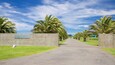 A paved road leading to Elephant Hill with palm trees lining the path.
