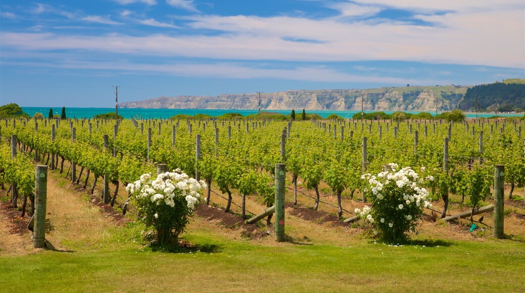 Elephant Hill Estate Winery showing flowers and farmland