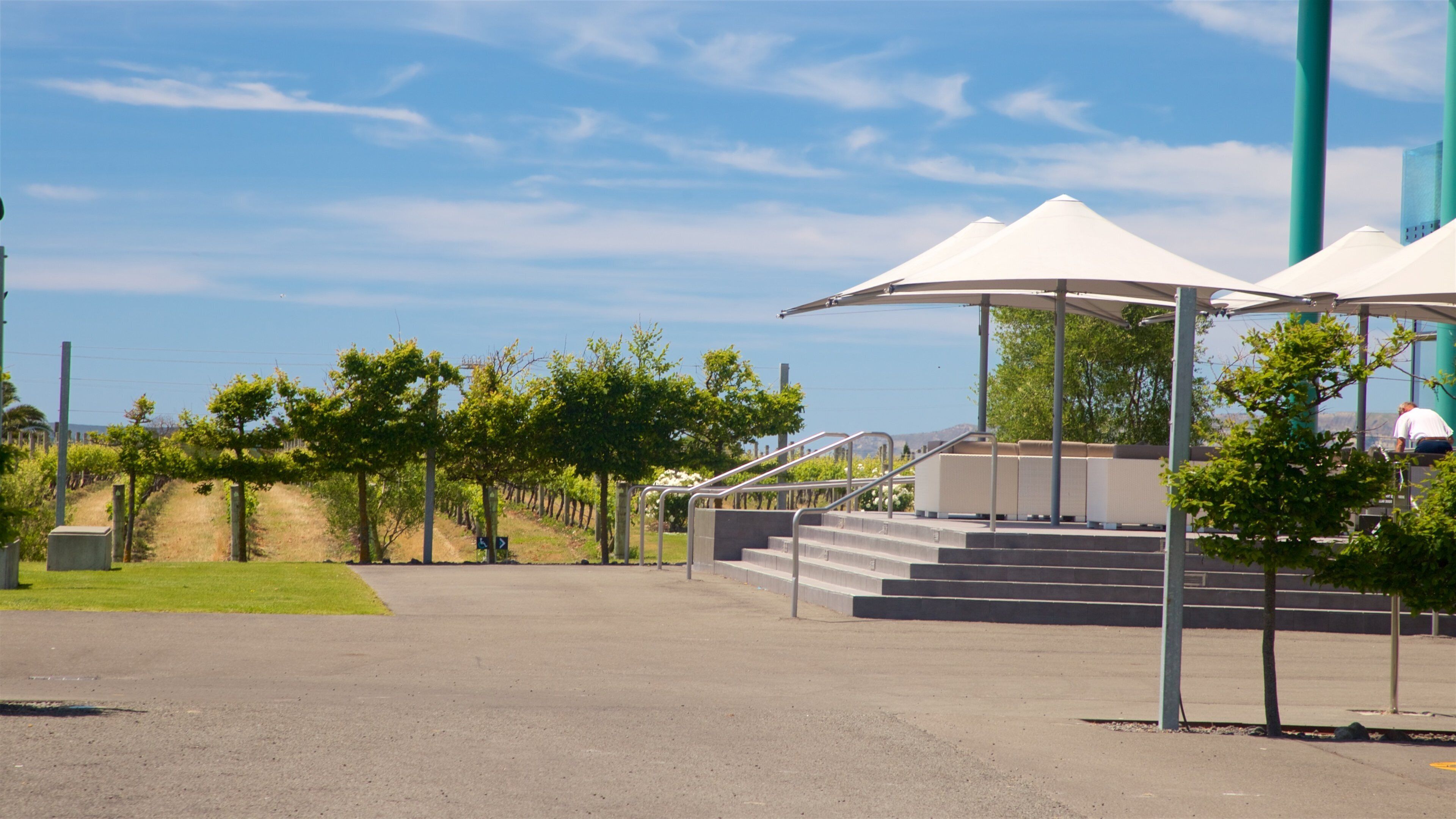 Elephant Hill Estate Winery