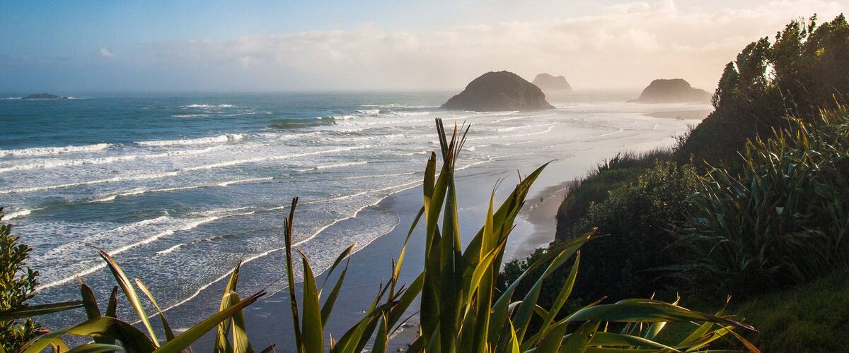 A coastal landscape with waves, vegetation, and distant islands.
