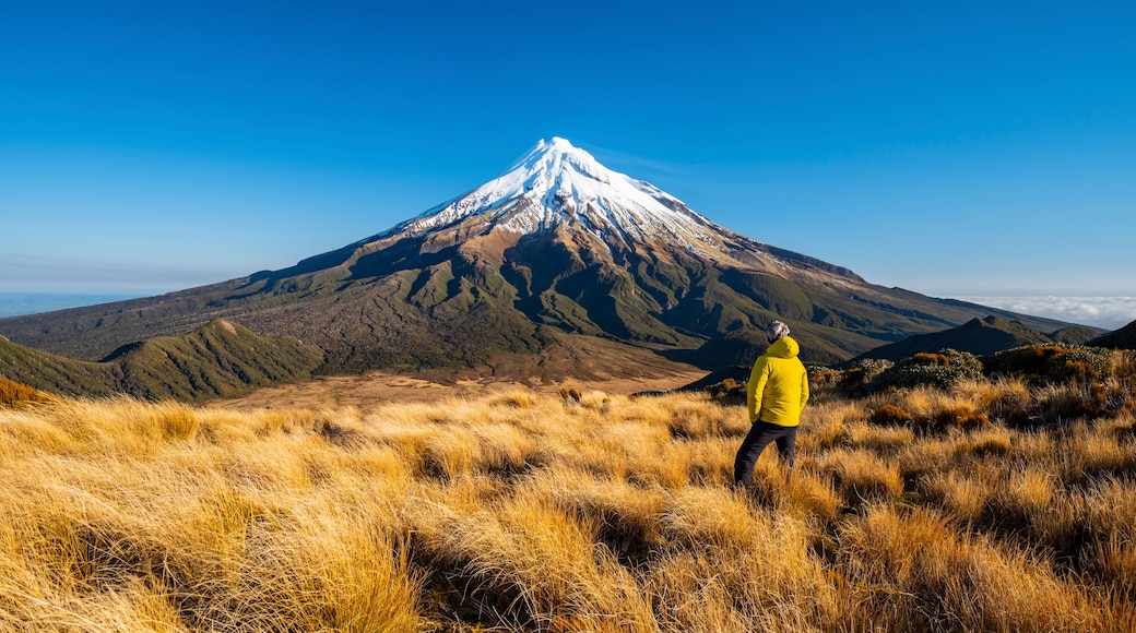 Egmont National Park