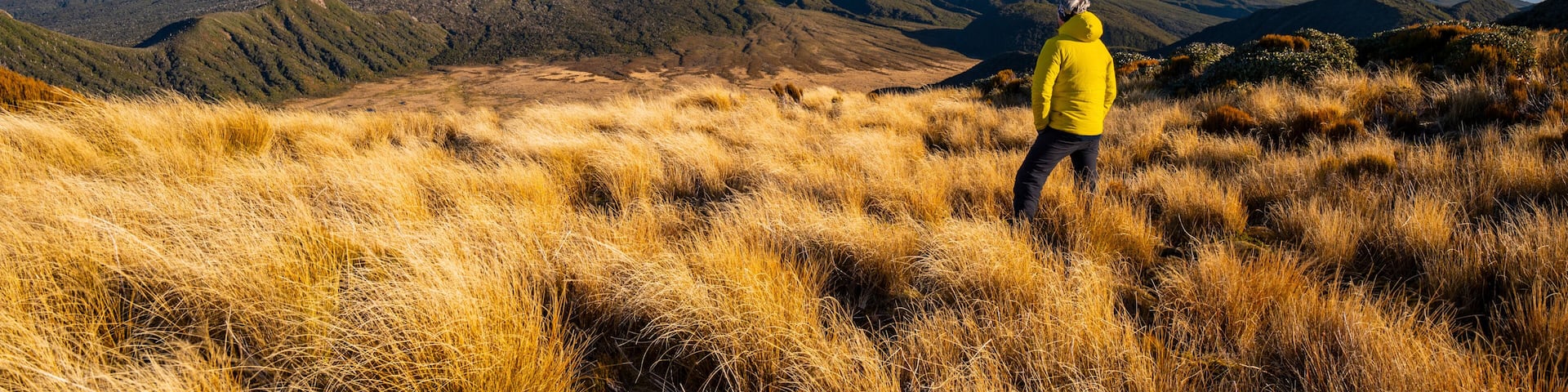 View of Mt. Taranaki (Mt. Egmont), New Zealand