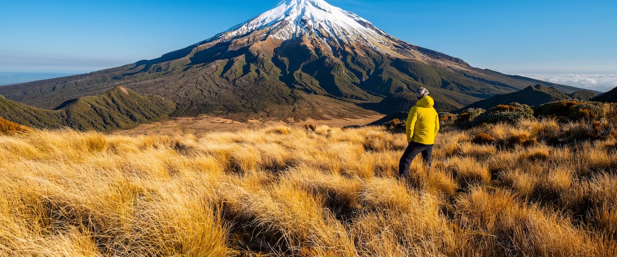 A person in a yellow jacket standing on a grassy field with a snow-capped mountain in the background.