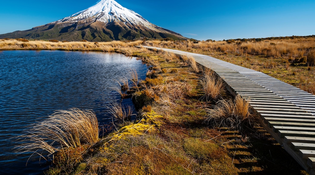 Egmont National Park