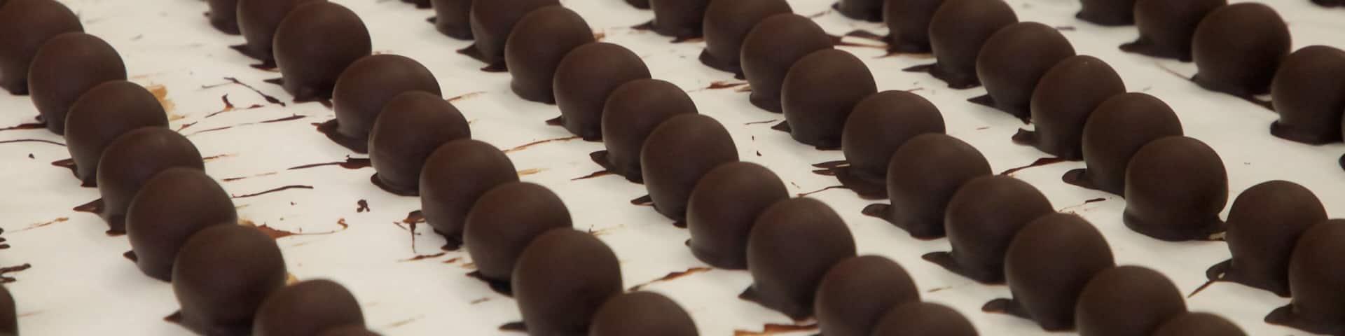 Une barquette de truffes au chocolat disposées en rangées.