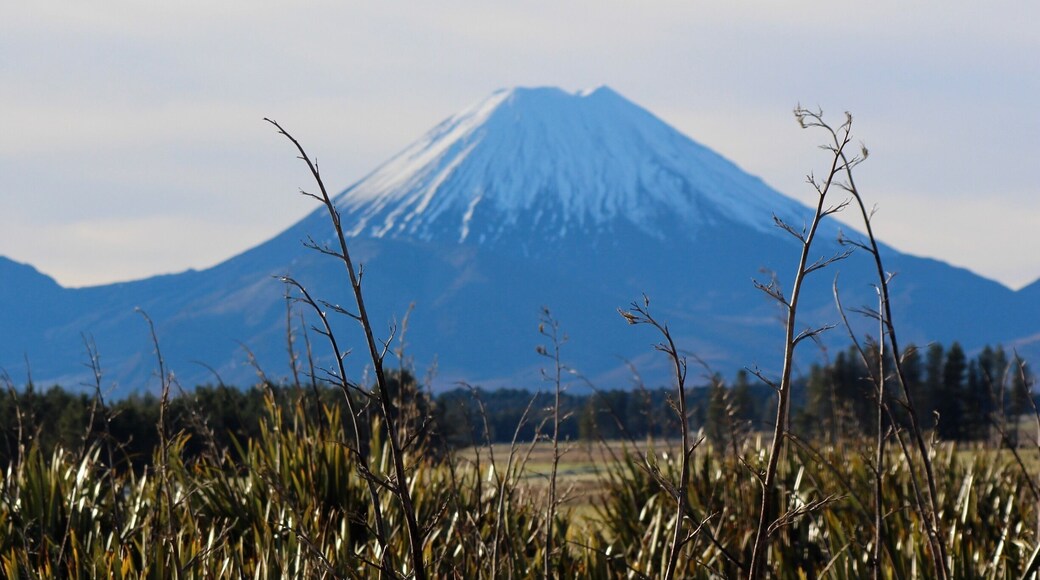 As you head towards Mt Ruapehu this beaut sits on your left. Also known as Mount Doom on LOTR. Mount Ngauruahoe
